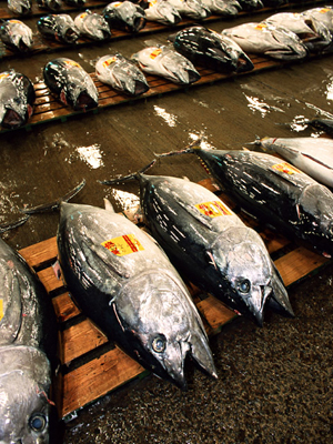 海峡マグロ水産